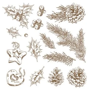 Monochrome set of pine branches, cones, holly, leaves, berries and cookies, hand Stock Illustration