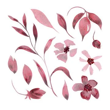 Monochrome set of plant elements - flowers, leaves, branches, berries. Hand Stock Illustration