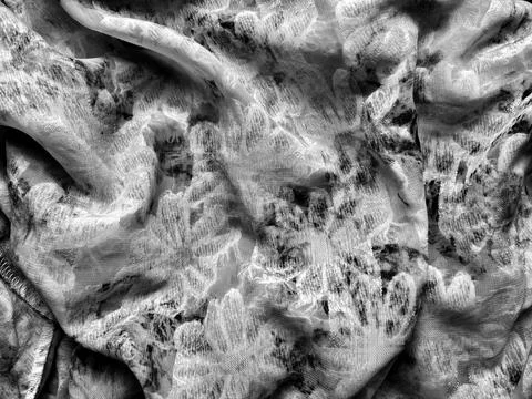 Monochrome sheer fabric texture creates organic shadows on creased botanica.. Foto stock