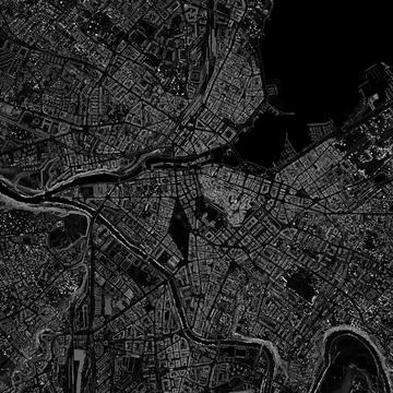 Monochrome Slope Visualization of Geneva, Swiss LiDAR Illustrazione stock