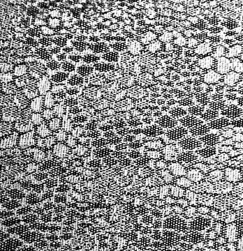 Monochrome snake skin pattern textile texture background Stock Photos