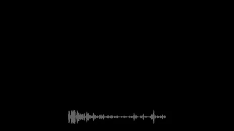 Monochrome Soundwave Visualization in Black Background for Audio Analysis Stock Footage 341780370