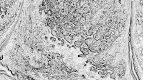 Monochrome Surface Developing Through Tonal Shift Stock Footage 328510302