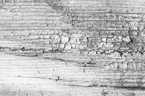 Monochrome texture of a board. Abstract background. Stock Photos