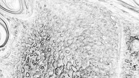 Monochrome Tonal Drift Across the Surface Stock Footage 328510436