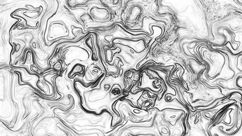 Monochrome Topographic Fluid Texture Abstract Black and White Organic Patter Stock Footage 331406079