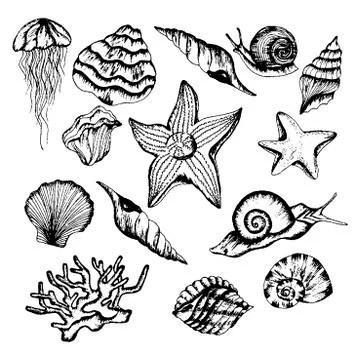 Monochrome Underwater Creatures Vector Hand Drawn Illustrated Set Stock Illustration