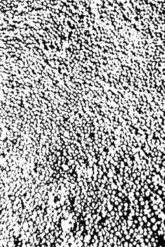Monochrome vector texture. Black grainy pattern on an isolated colorless. Stockillustratie