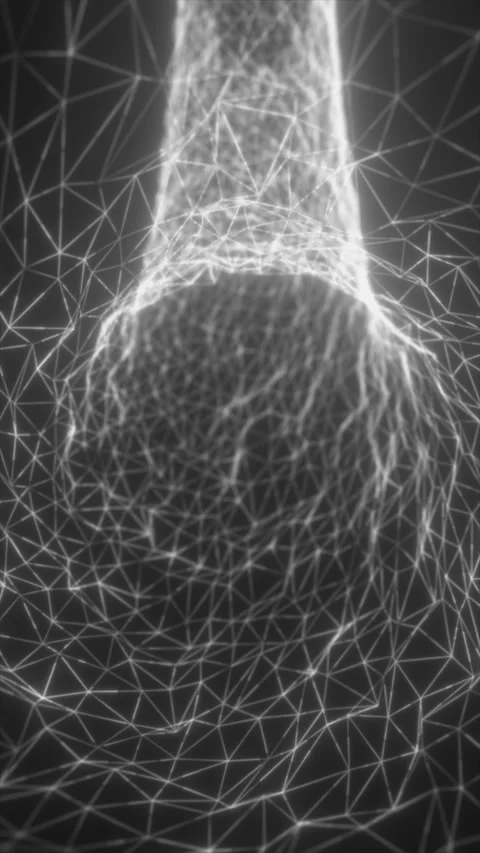Monochrome wireframe mesh with connected nodes forming an abstract organic .. Stock Footage 330108606