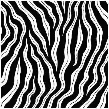 Monochrome Zebra Pattern with Wavy Black and White Lines stripes animal print Stock Illustration