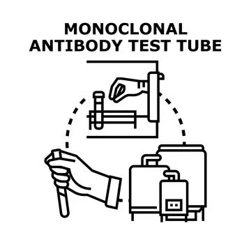 Monoclonal antibody development and testing process concept Stock Illustration