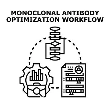 Monoclonal antibody optimization workflow development process Stock Illustration
