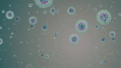 Monocyte blood cells in loop motion Stock Footage 69291760