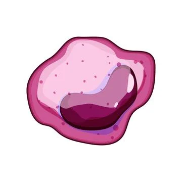 Monocyte cell representing human immune system defense mechanism Stock Illustration