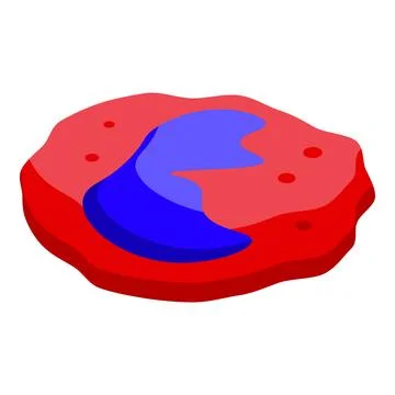 Monocyte immune cell engulfing bacteria with pseudopods in isometric view Stock Illustration
