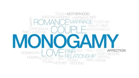 Monogamy animated word cloud, text design animation. Kinetic typography. Stock Footage 80470335