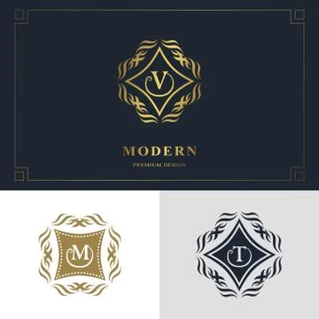 Monogram design elements, graceful template. Calligraphic elegant line art Stock-Illustration
