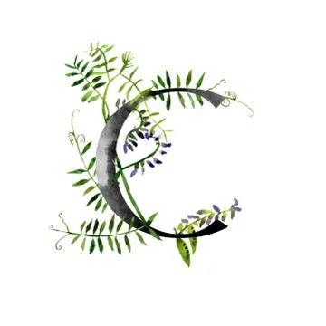 Monogram with flowers Stock Illustration