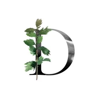 Monogram with flowers Stock Illustration