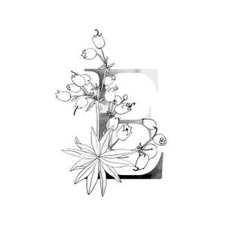 Monogram with flowers Stock Illustration