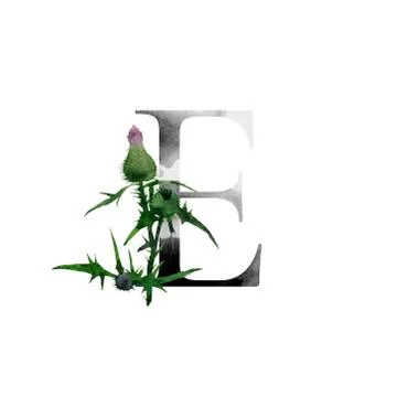 Monogram with flowers Stock Illustration