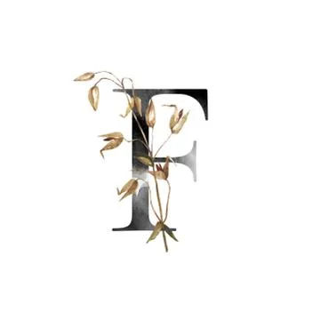 Monogram with flowers Stock Illustration