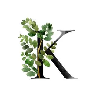 Monogram with flowers Stock Illustration