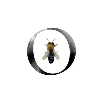 Monogram with flowers Stock Illustration