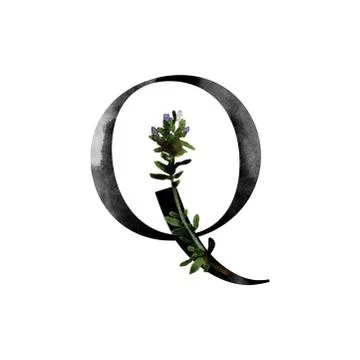 Monogram with flowers Illustrazione stock