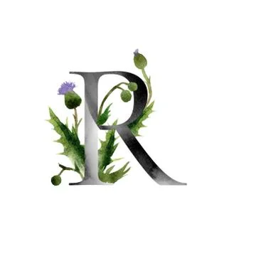 Monogram with flowers Stock Illustration