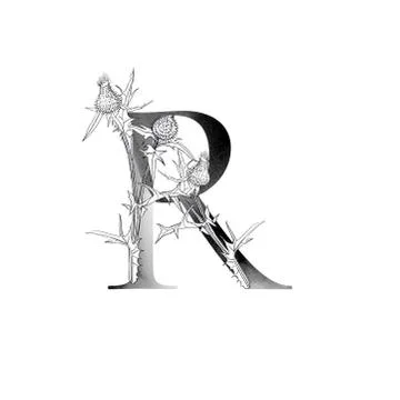 Monogram with flowers Stock Illustration