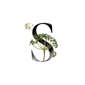 Monogram with flowers Stock Illustration