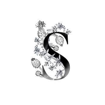 Monogram with flowers Illustrazione stock