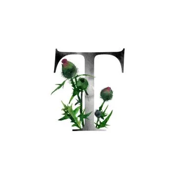Monogram with flowers Stock Illustration
