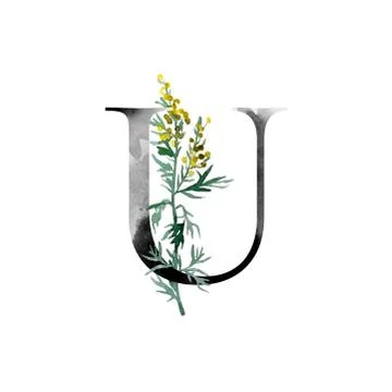 Monogram with flowers Stock Illustration