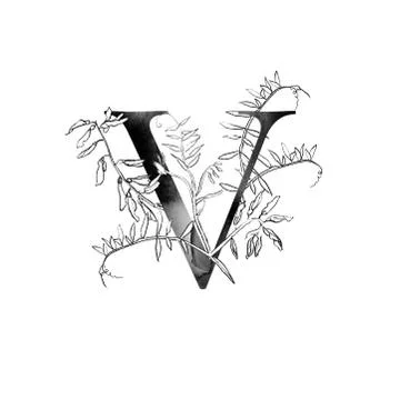 Monogram with flowers Stock Illustration