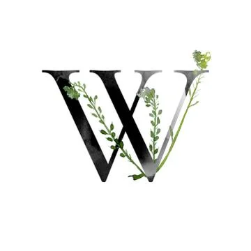 Monogram with flowers Stock Illustration