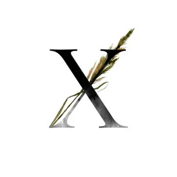 Monogram with flowers Stock Illustration