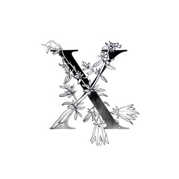 Monogram with flowers Stock Illustration