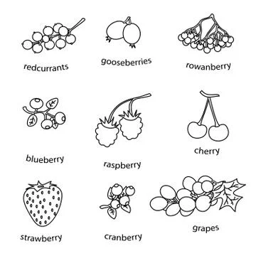 Monoline berries set on white background Stock Illustration