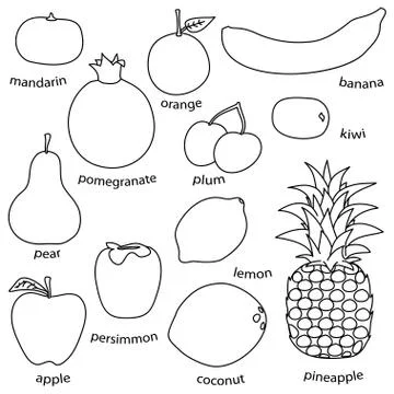 Monoline fruit set on white background Stock Illustration