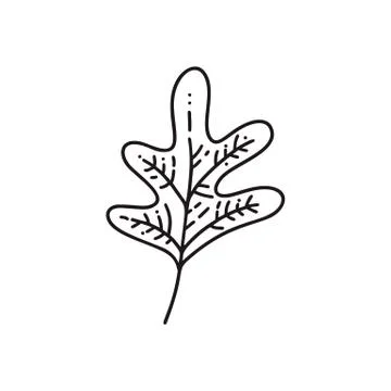 Monoline leaf of tree logo autumn. Outline emblem in linear style. Vector abs Illustrazione stock