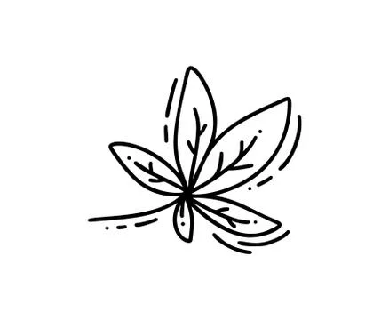 Monoline leaf of tree logo autumn. Outline emblem in linear style. Vector Illustrazione stock