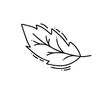 Monoline leaf of tree logo autumn. Outline emblem in linear style. Vector Stockillustratie