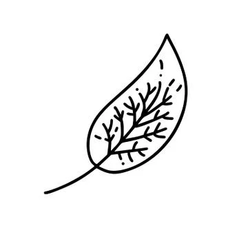 Monoline leaf of tree logo. Outline emblem in linear style. Vector abstract i Stock Illustration