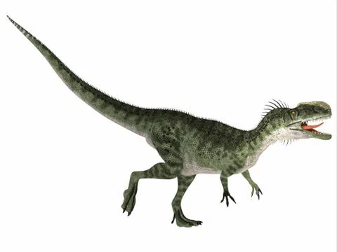 Monolophosaurus over White Stock Illustration
