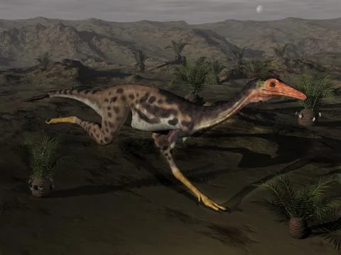 Mononykus dinosaur by night - 3D render Stock Illustration