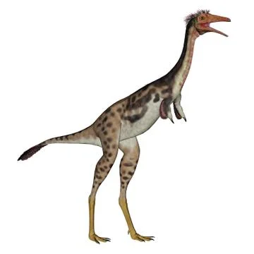 Mononykus dinosaur standing - 3D render Stock Illustration