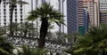 Monorail Departing Train Passing Las Vegas Landmark Tourist Attraction Ride Tour 4k or 4k+ Resolution