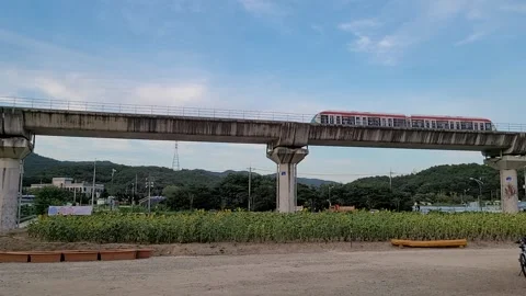 Monorail or Light Rail Train Passing Over an Elevated Track Above a Sunflower Fi Video stock 321671113